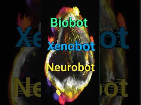 Neurobots future of regenerative medicine
