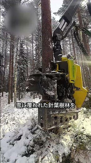 A monstrous machine that can cut down trees in an instant.