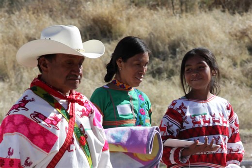 Google Traductor incorpora lenguas indígenas de México a sus servicios de traducción - México Desconocido