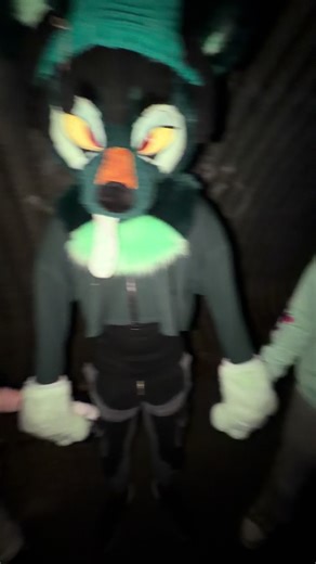tunnel time sacrifice #furry #fursuit #fyp #imreallyscared #ithinkimgonnadieatthishouse
