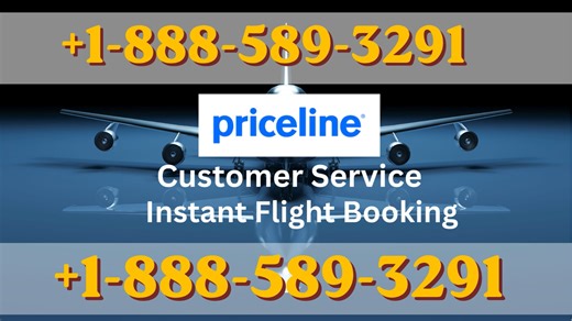21+ Ways to Access Priceline® Customer Service By Phone, chat and Support 24/7