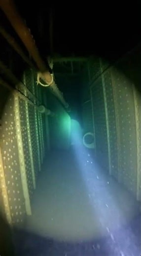 The Ghostly Whispers of Titanic… POV Dive #TitanicGhosts #UnderwaterHorror #ShipwreckFear