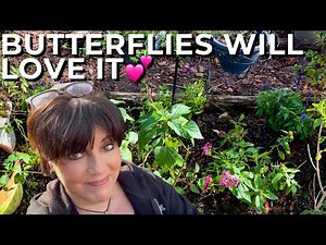Finishing My Butterfly Garden Redesign & Planting Nectar-Rich Flowering Perennials