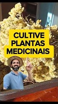 CULTIVE ERVAS MEDICINAIS 🌿