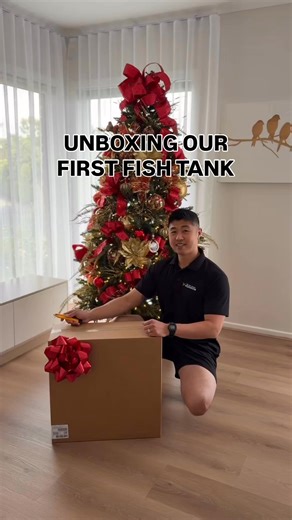 We own an aquarium store but this is the only type of fish tank we’ll have at home!!! Zero water changes. Zero stress. Just fun 😉 | Fish World Aquarium