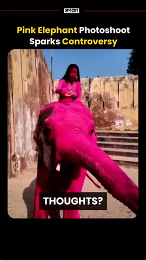Pink Elephant Photoshoot Sparks Controversy | Uncut