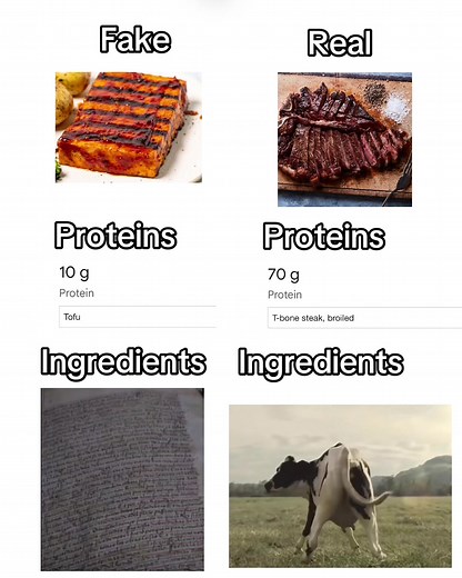 Exploring Real vs. Fake Protein Sources