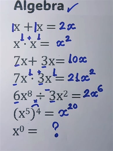 Álgebra Básica para Estudantes