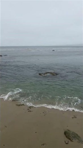 One of the coolest moments of our trip to Monterey, California...