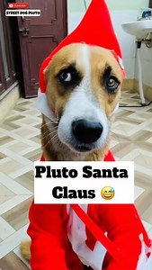 Happy Christmas | Pluto Santa Claus 😅 | #minivlog #Christmas | Pluto Street