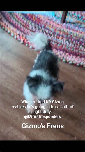 He understood the assignment. | Gizmo's Frens