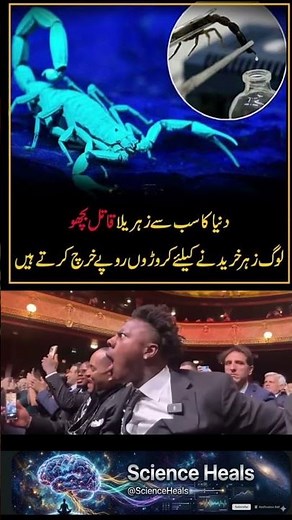🦂 The Deadliest Scorpion in the World | Worth Crores in Venom 😱 #scienceheals #viral