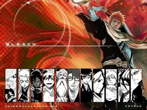 bleach opening 12 change full song