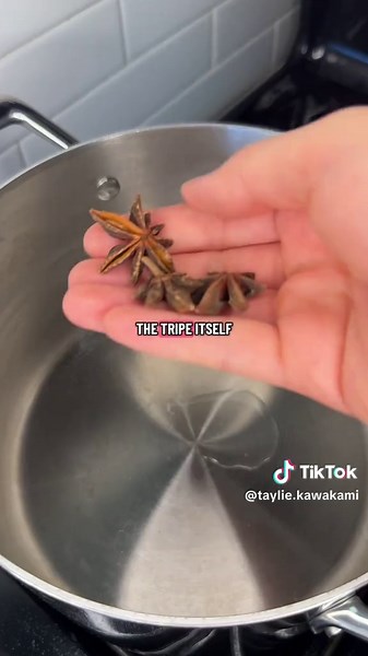 @thewoksoflife ‘s Dim Sum Tripe Stew! Call me gross and gnarly if you want but I love eating all the parts of animals that people turn their noses up at. Be it tripe, liver, feet, I’ll happily eat it. Dim sum holds such a special place in my heart and to me it’s an ultimate comfort food. I love order small plates and sharing family style, it’s just the best way to eat. #foryou #foryoupage #fyp #fypシ #cooking