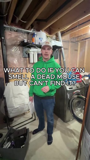 If you’re in Ontario right now and your house has a weird, strong smell, it’s usually a dead mouse or rat in the wall. This happens a lot in the cold months. In this video, I’m showing how I deal with it when the rodent can’t be found. This scent remover hangs near the strongest smell and uses airflow to pull the odor out of the wall. Most times, the smell is gone within 1 to 24 hours. I help homeowners across Guelph, Kitchener, Waterloo, and Cambridge with rodent issues like this all winte