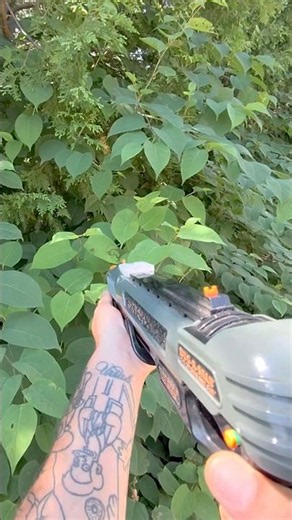 FPV Japanese Beetle Hunting with The Bug-a-Salt