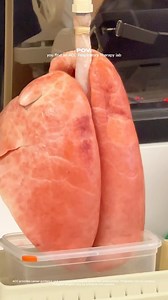 Curious about what sets ACC’s Respiratory Therapy program apart? Check out our RT simulation lab at ACC-LA and dive into the world of hands-on learning and training opportunities available to students at all our campuses! Learn more – link in bio. #AmericanCareerCollege #ACC #RespiratoryTherapy #RespiratoryTherapyStudent #RT #FutureRespiratoryTherapist | American Career College | Facebook