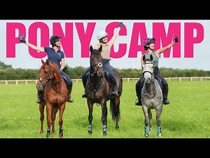 Pony Summer Camp... As Adults (Showjumping day)