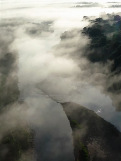 Exploring the Bolivian Jungle: Biodiversity and Environment