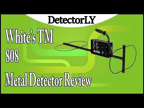 White's TM 808 Metal Detector Review