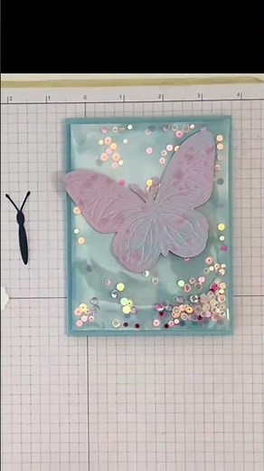 A really easy way to make a shaker card with a clear envelope