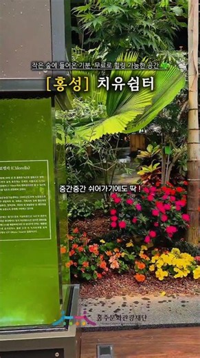 작은 숲에 들어온 기분, 무료로 힐링 가능한 공간 🌳홍성치유쉼터🌳
