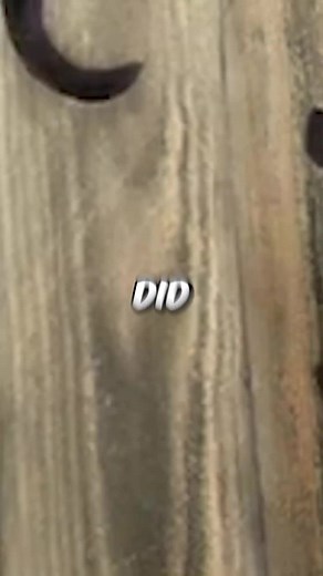 Did You Notice These 5 Animation Mistakes in Shrek 1 #viral #fyp #xyzbca #animated #phantmeditz