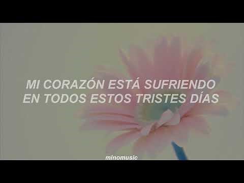 Because I'm Stupid - SS501 [Traducida al Español]