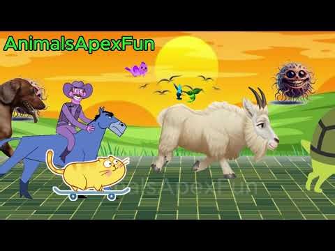 WILD Animal Stampede Caught on Camera?