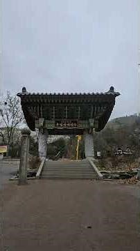 [서울 산책] 봄비 속 벚꽃길, 우면산 대성사까지의 조용한 산책
