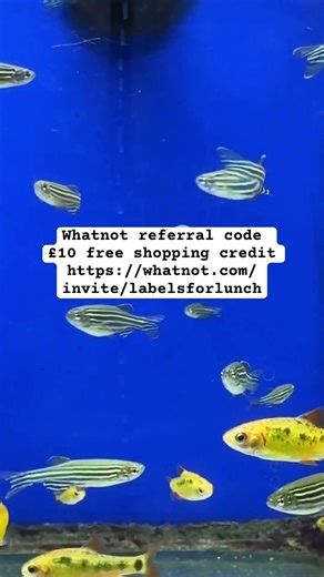 Whatnot referral link £10 free credit https://whatnot.com/invite/labelsforlunch