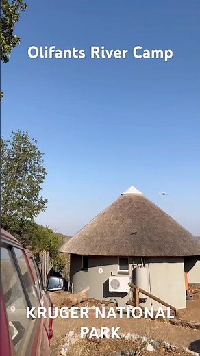 Olifants Camp unit 1 River View | KRUGER NATIONAL PARK #eagle #vultures #krugernationalpark #nature