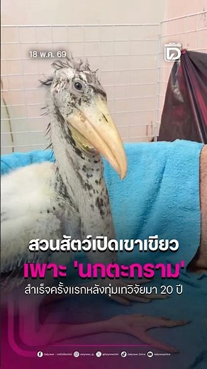 สวนสัตว์เปิดเขาเขียว เพาะ 'นกตะกราม' สำเร็จครั้งแรกหลังทุ่มเทวิจัยมา 20 ปี
