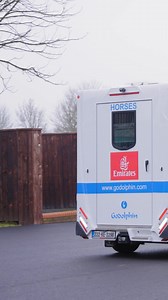 🇮🇪 Master Of The Seas has returned home! 🏡 Born at Kildangan Stud in 2018, Master Of The Seas was trained by Charlie Appleby at #TeamGodolphin training yard Moulton Paddocks. 🏇He had an exceptional career, winning a G2 on just his second start and retired a three-time G1 winner after victories in the Woodbine Mile, Breeders' Cup Mile and the Maker's Mark Mile. Master Of The Seas will now enjoy his retirement back at Kildangan Stud and become a flagbearer for the #GodolphinLifetimeCare progra