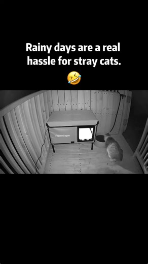 Stellar Resonance Therapy Bed uses synchronized electromagnetic frequencies to stimulate cellular regeneration. Combined with far-infrared heating, accelerates recovery from injuries and reduces inflammation.#vagascape