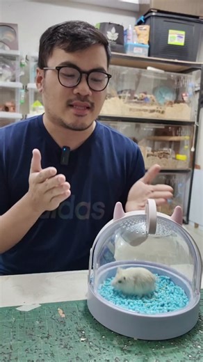 Paano Alagaan ang Hamster: Mga Senyales ng Sakit