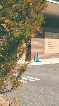 面会