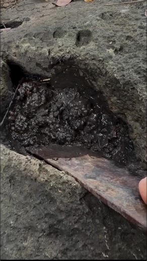 Thrilling Treasure Hunt Adventure