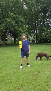 80K views · 1.2K reactions | 2,3,4,5,6! - - - #acrobat #acrobatics #circus #acro #gymnastics #gymnast #flexible #cirque #dance #circuslife #circus #stuntrick #aerialist #acrobatic #circusaroundtheworld #circuseverydamnday | Jacob Grégoire | Facebook