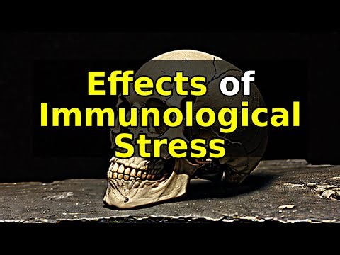 How Stress Affects Our Immune System