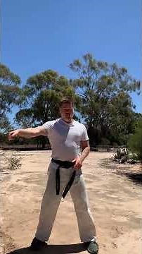 Dai Shu Quan : Zui Quan Drunken Fist technique play