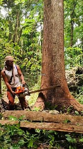 axon kabalaka papz | Papz Lumber