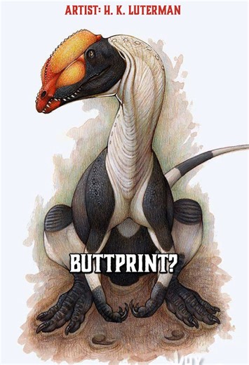 Dinosaur Buttprint! #whydinosaurs #dinosaur #fossils #paleontology #dinosaurios