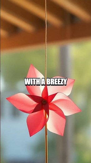 The Secret Codes of Curious Hands