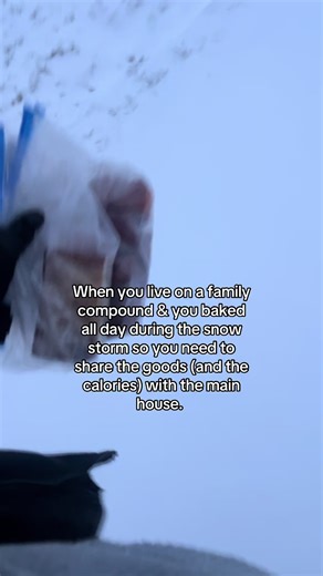 Homemade Beignets, Banana bread & toasted cheezits coming daddy’s way #snow #familycompound #baking #appalachian