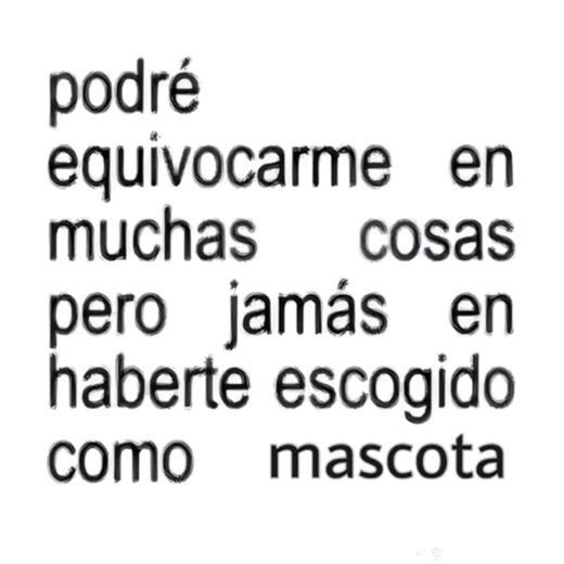 Hice la mejor elección 🐶😍#lassie__el__dog #lentejas #estoyperdiendoapoyo #goldenshitzu #lassie