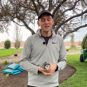 185K views · 6K reactions | My hosta bed has always been an area that's needed work. So, this year, I'm changing that and starting off with some new hellebores. Later on (video coming in a week or so), I'll add in additional hosta to really fill in the bed. | Wyse Guide | Facebook