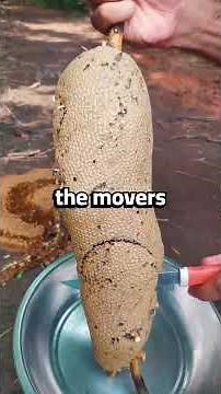 At the family dinner, mom smiled and announced, "Your brother will take your room because he needs..