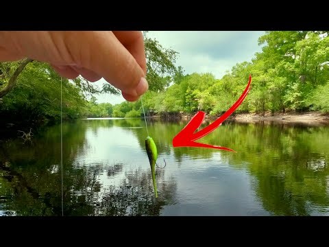 HOW To Catch Bream Using This EASY Technique!