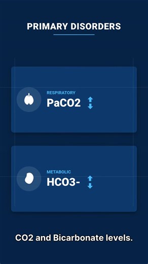 *ABG Analysis 😷* - *Step 1: pH* - Acidic ( 7.45) 🔼 - Normal (7.35-7.45) ✅ - *Step 2: PaCO2* - Respiratory acidosis/alkalosis 🫁 - *Step 3: HCO3* - Metabolic acidosis/alkalosis 🧪 - *Step 4: PaO2 & SaO2* - Oxygenation status 💉 - *Step 5: Compensation* - Respiratory/metabolic Life-in-icu 👈 follow for more clinical tips ✨️🏥🩺#drarchanasinha #lifeinicu #criticalcare #icudoctor #savealife #stayhealthy #MedicalEducation #respiratorytherapist #emergencymedicine #emergencyservices #icugyan | Life-i